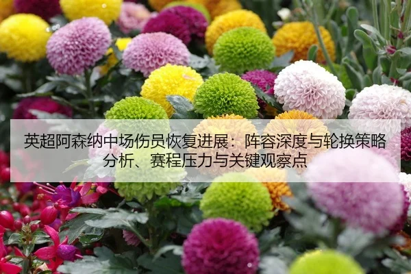 英超阿森纳中场伤员恢复进展：阵容深度与轮换策略分析、赛程压力与关键观察点