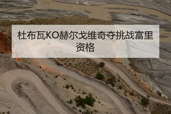 杜布瓦KO赫尔戈维奇夺挑战富里资格