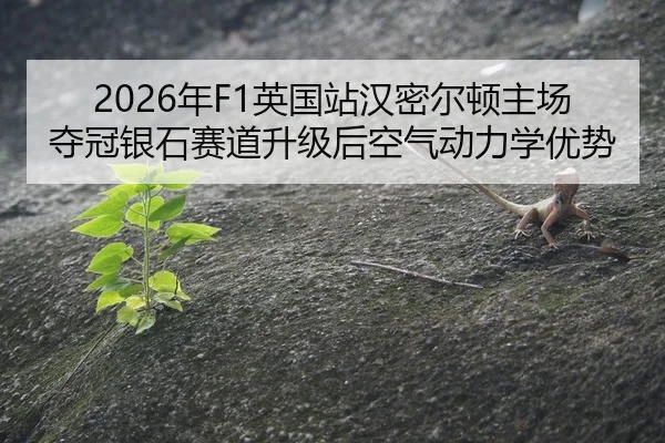 nian-ying-guo-zhan-han-mi-er-dun-zhu-chang-duo-guan-yin-shi-sai-dao-sheng-ji-hou-kong-qi-dong-li-xue-you-shi-2-176.jpg